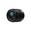 Objectif 12-60 Panasonic