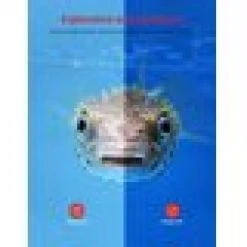 Caméra D'action Victure AC920 4K 60FPS, Zoom 8X, Écran Tactile, Doub... -Boutique KODAK PIXPRO camera daction victure ac920 4k 60fps zoom 8x cran tactile double microphone telecommande kit daccessoires inclus version de mise a niveau 2022 12107408 32114320 1140x1140